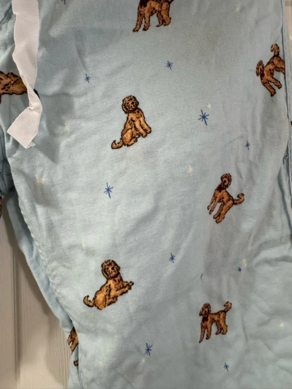 J. Crew Pale Blue Goldendoodle Lounge Pants - Picture 5 of 6